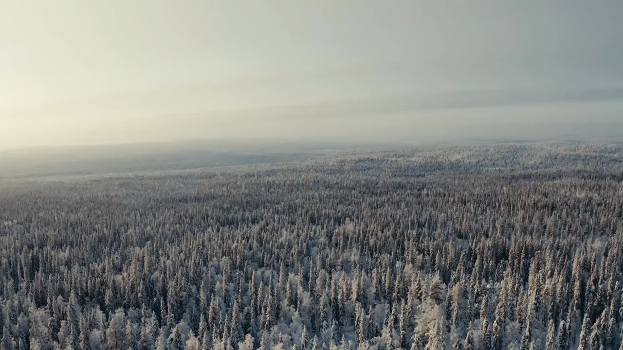 Cold, ice and snow successfully defied: Mercedes-Benz Trucks tests electric trucks in Finland