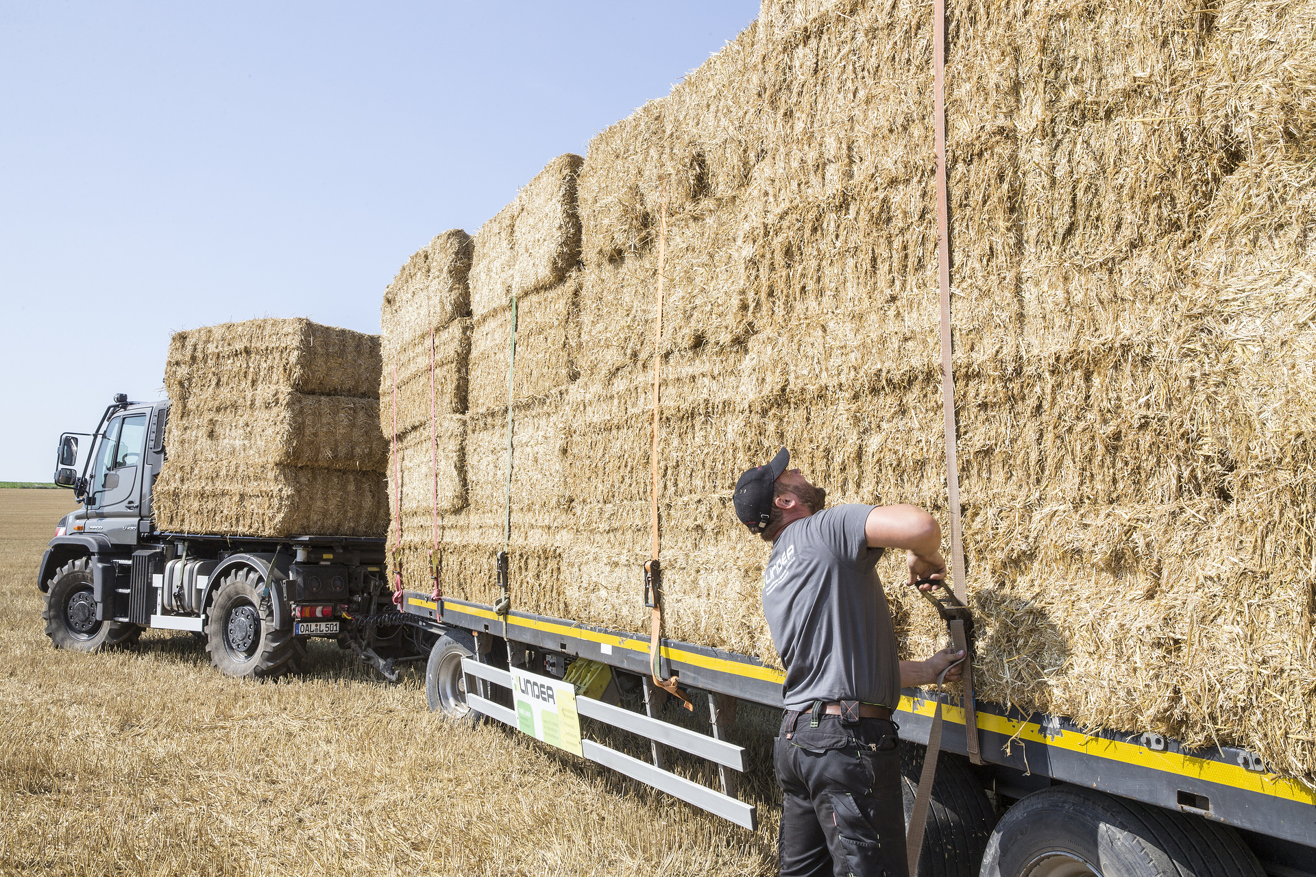 Unimog in agricultural operation The Unimog for modern agriculture: three implement carriers at Agritechnica